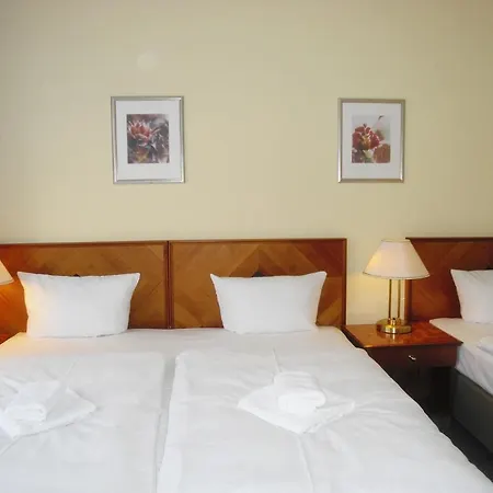 Amadeus Hotel 2*